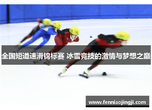 全国短道速滑锦标赛 冰雪竞技的激情与梦想之巅